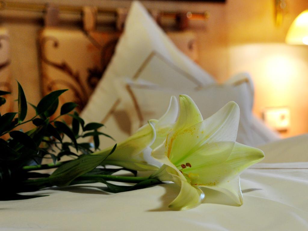 Wellness- Und Ferienhotel Waldesruh Bodenmais Cameră foto